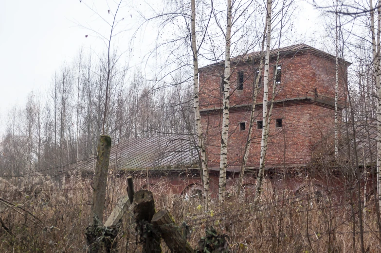 a brick tower sitting in a forest next to a tall building