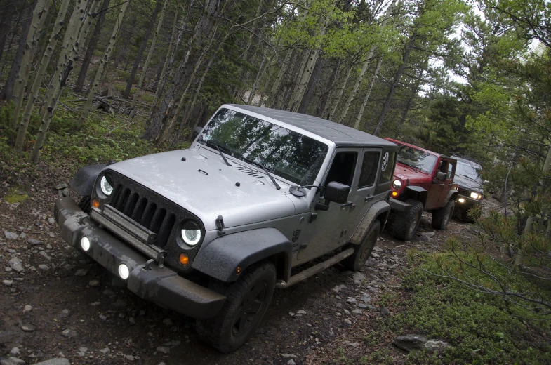 two gray and red jeeps on trail with trees