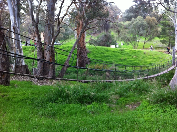 a rope bridge over grass and trees near a pasture