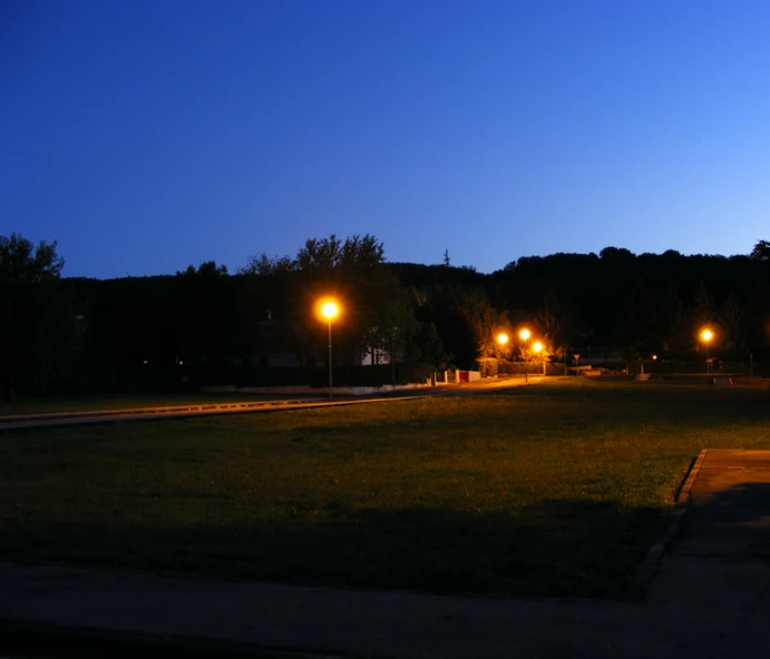 lights shine in the distance above a grassy park at night