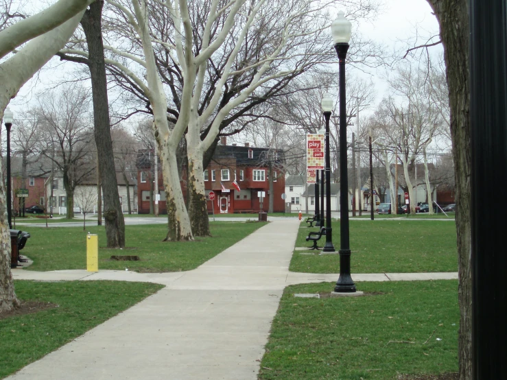 a sidewalk on a cloudy day next to a tree