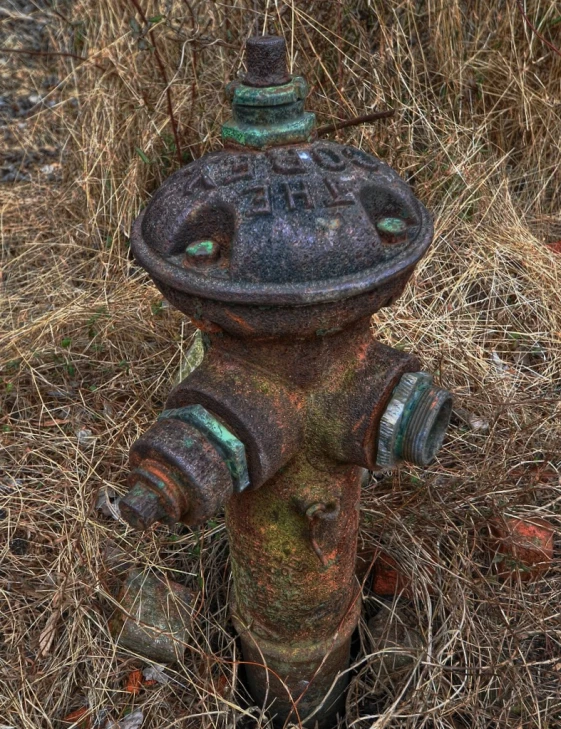 a fire hydrant sitting in some dried grass