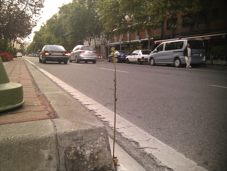 a street scene with parked cars and a fire hydrant