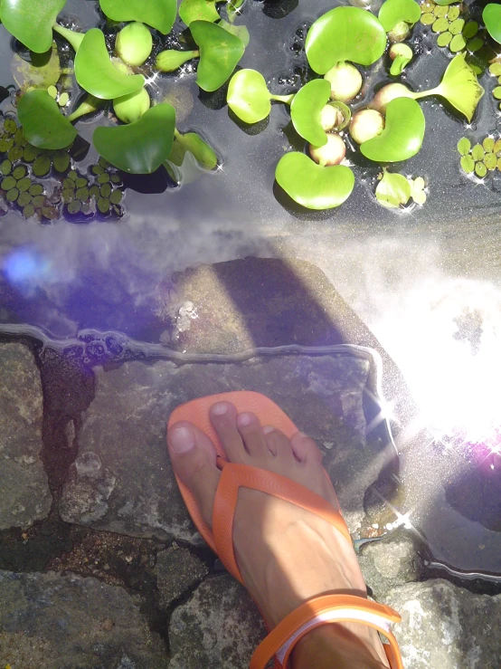a view of someone's feet on a rock next to green lily pads