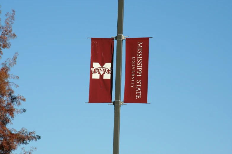 a red flag is next to a tree in front of a blue sky