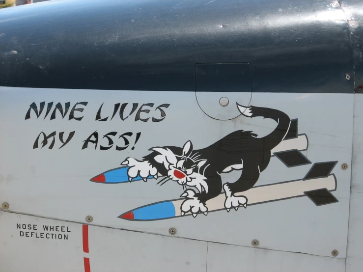 an advertit of a cat that is flying on a airplane