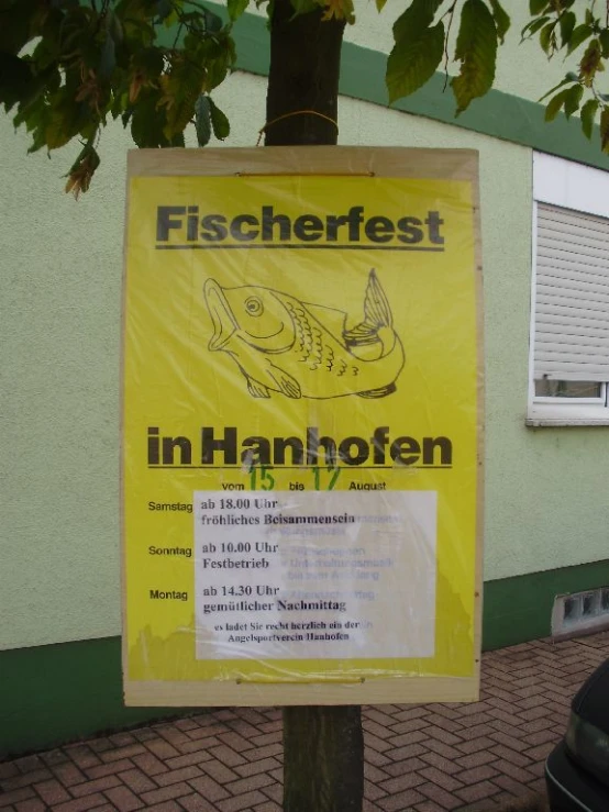 a fish festival sign on a tree near the street