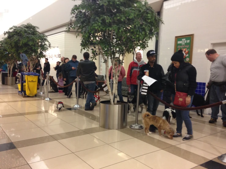 many people are lined up at the airport