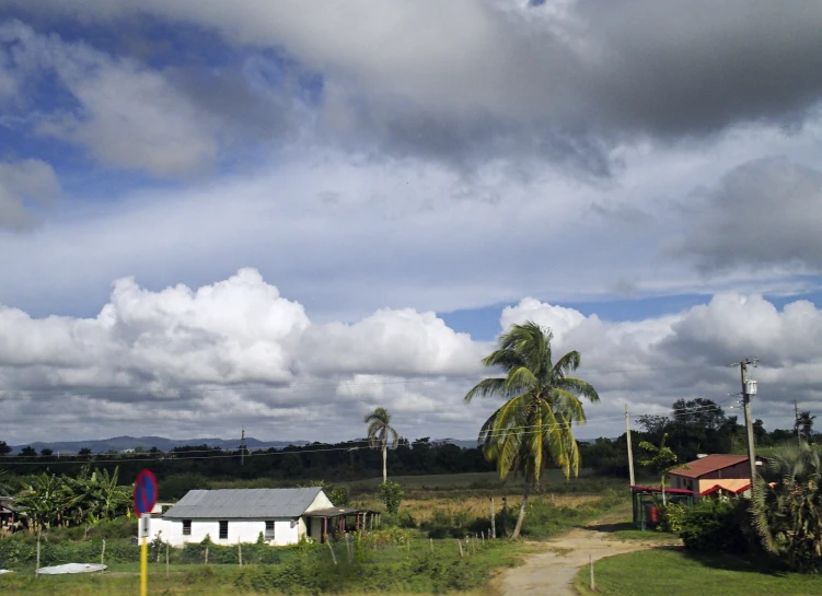 a rural country road runs in front of some small houses