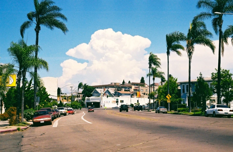 the view of a street lined with tall palm trees