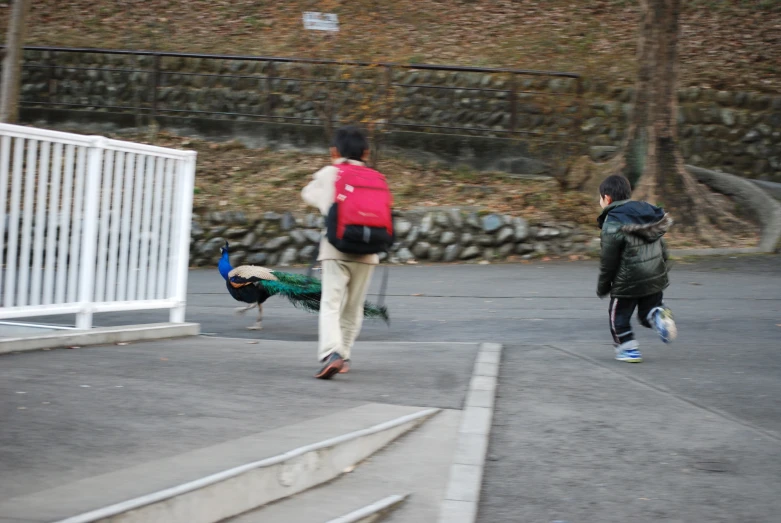 the boys are running together and walking towards soing