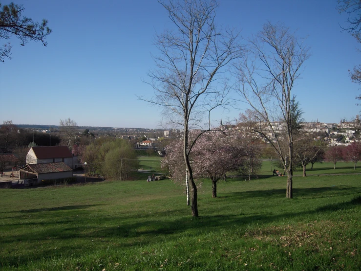 a view of trees and buildings in a large field