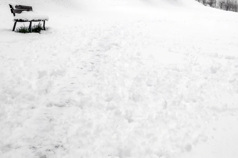snow and a bench in the middle of the slopes