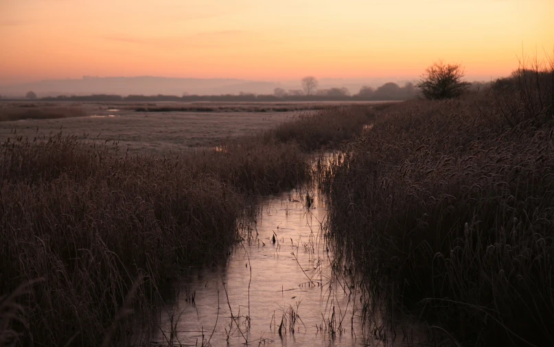 sunset in distance above a stream in a field with water