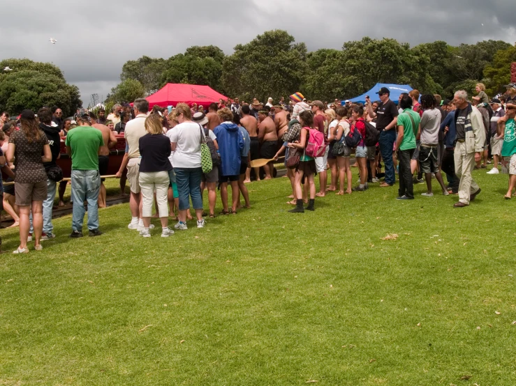 many people standing in the grass watching kites