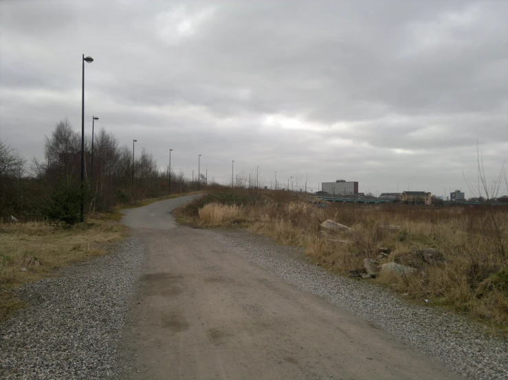 a dirt path near tall grass and buildings