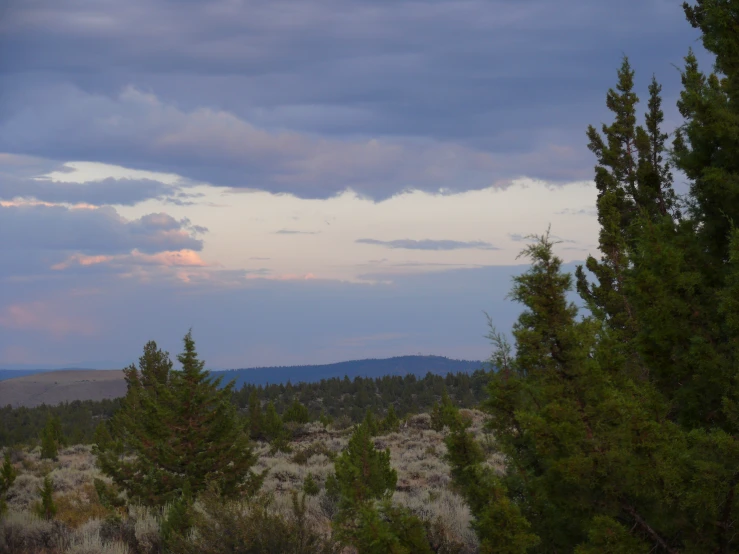 a mountain view with some trees and some mountains in the distance