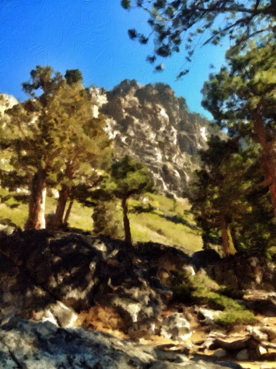 a mountain side with trees and rocks and a hillside in the background