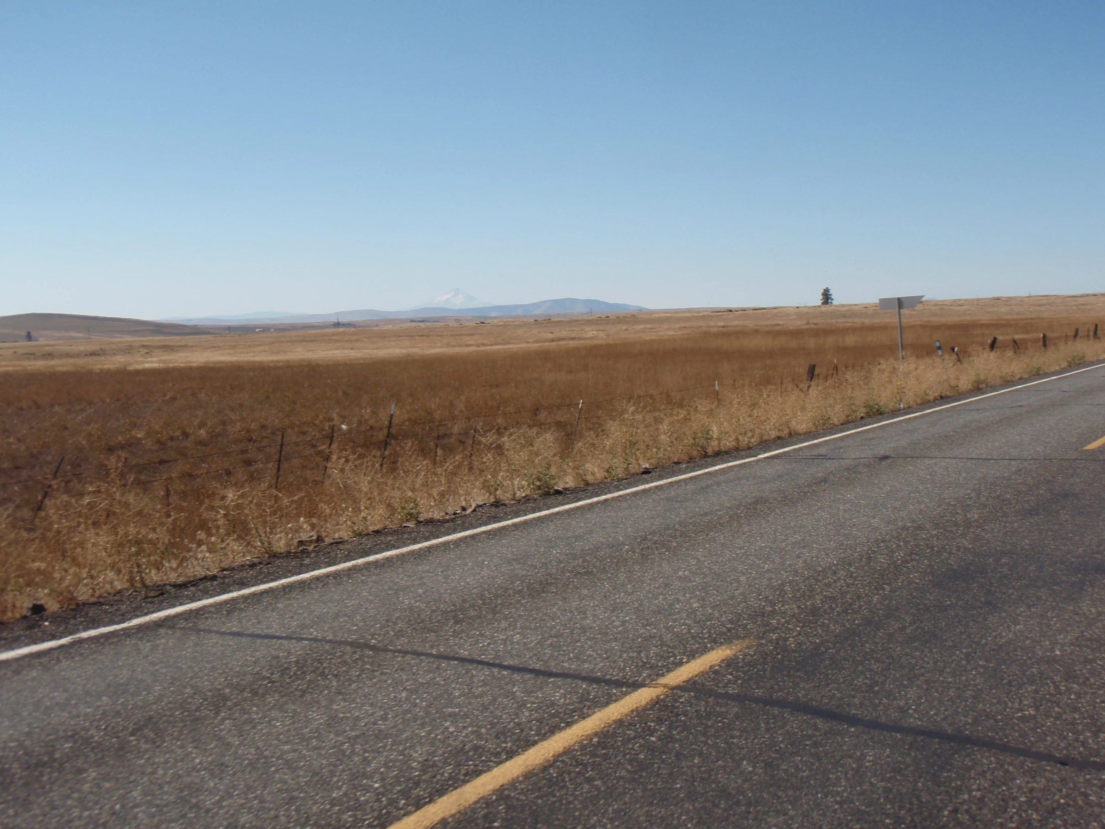 this road runs through a plain, and there is no cars in it