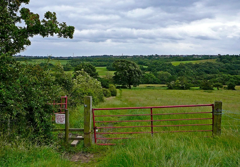 a red gate sits in a field surrounded by tall green trees
