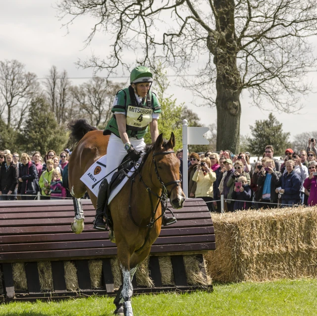 the rider on the horse is riding past the crowd