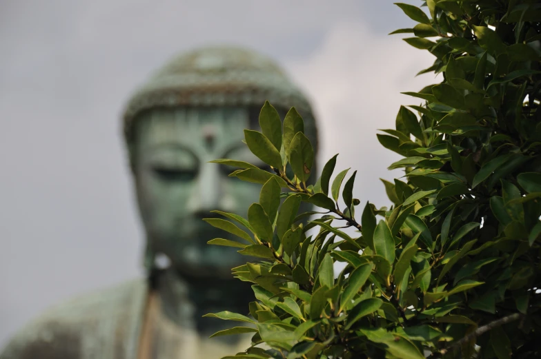 green tree and white statue with cloudy sky in background