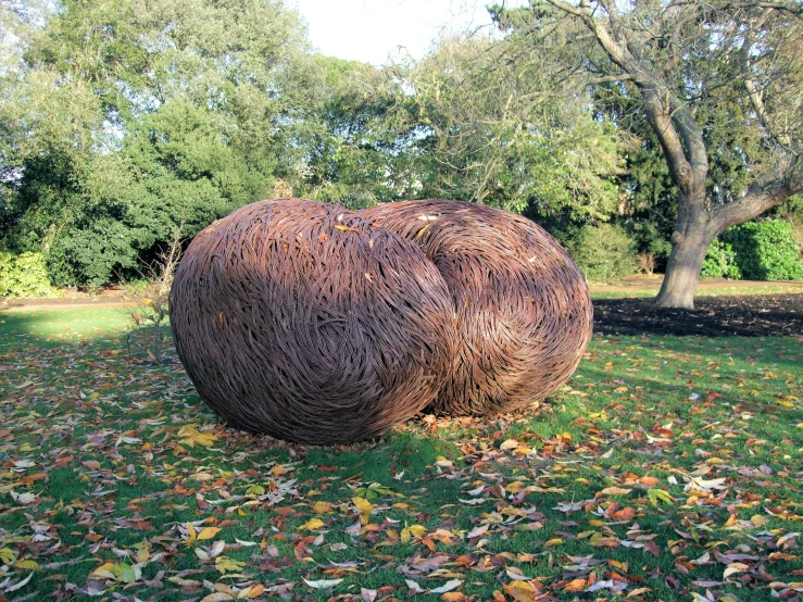 a large brown ball sitting in the middle of leaves