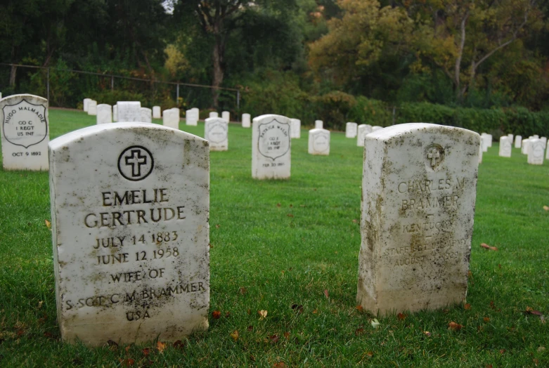several headstones on some very green grass