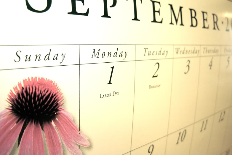 a calendar with a pink flower on top of it