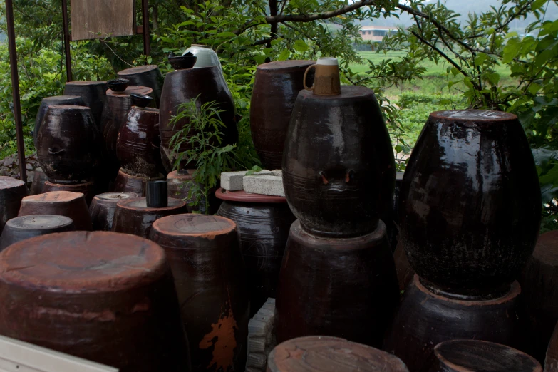 many vases and tree trunks sitting in the dirt