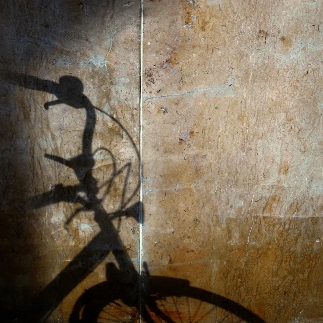 a shadow of a bike and a bird on a wall