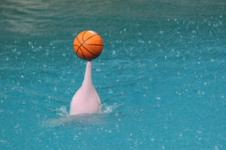 there is a basketball stuck in the water