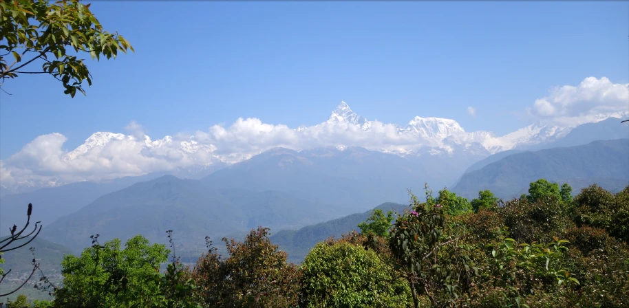 mountains are covered with trees and foliage in the foreground