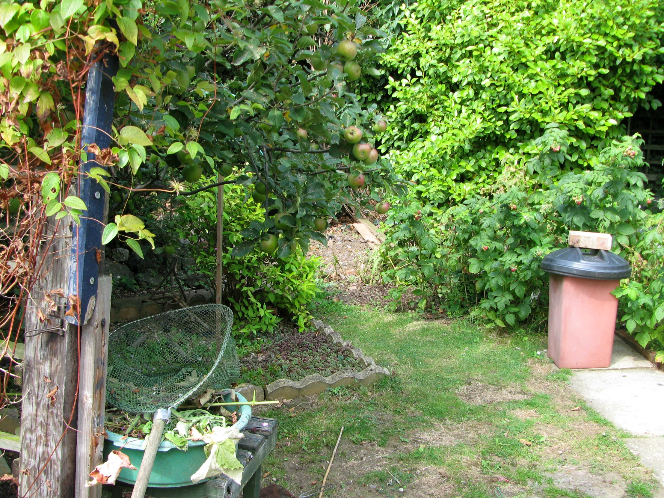 an overgrown backyard is seen with plastic garbage cans