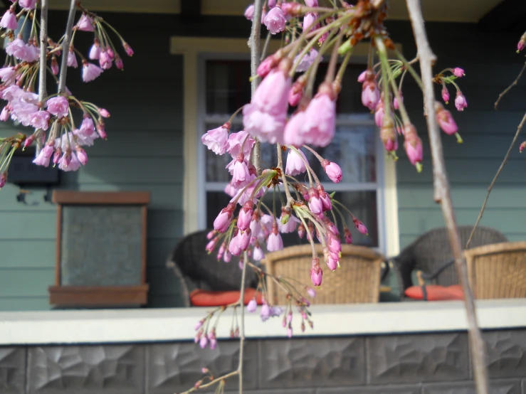 the front porch with pink flowers and wicker chairs