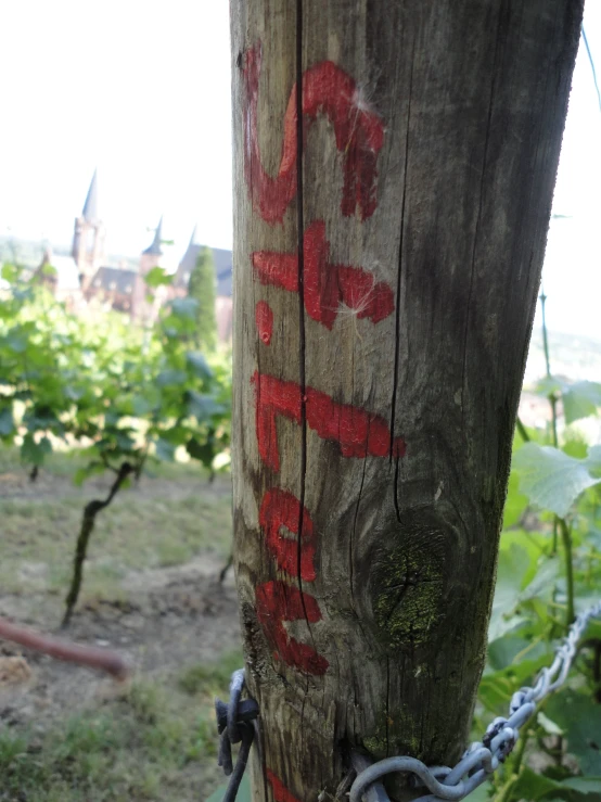 the wooden post has been marked with red graffiti