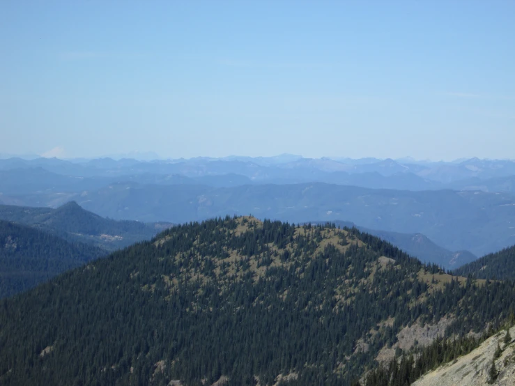 a large mountain with many trees on it