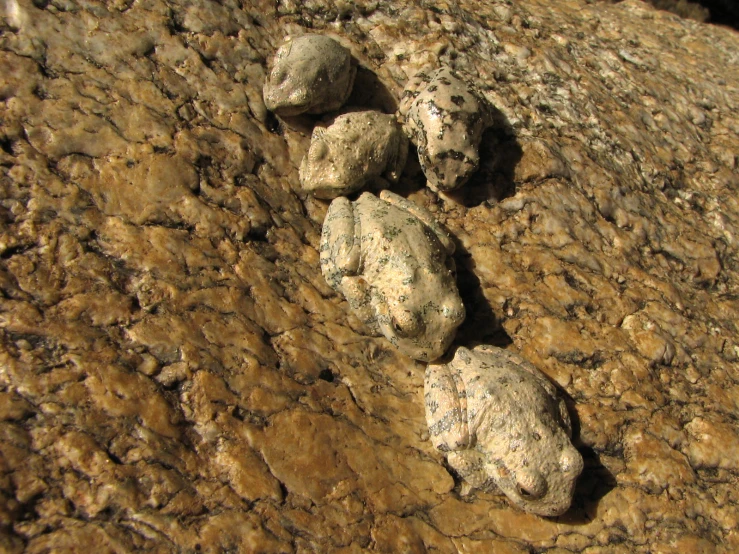 a bunch of rocks on the ground next to a wall