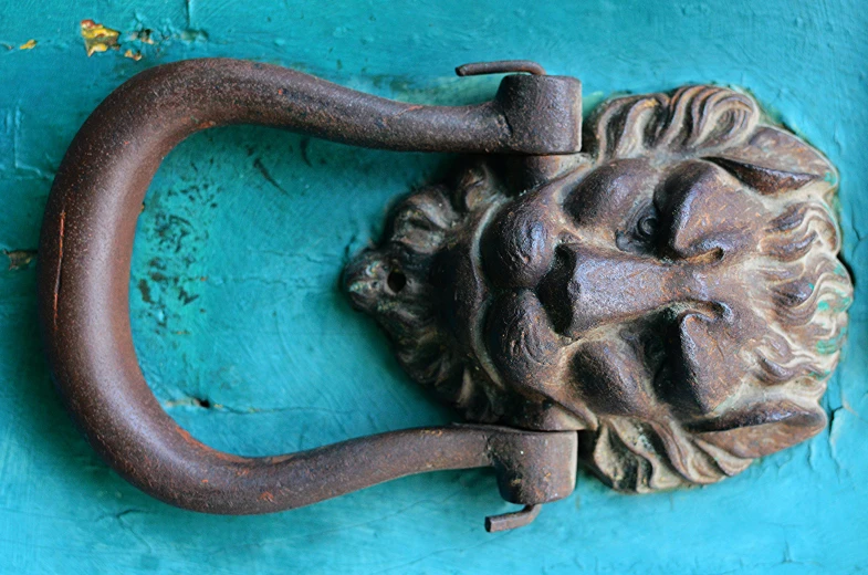 a metal handle that has a face and a lion's head on it