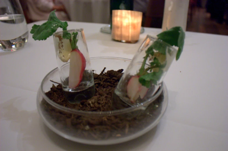 a plate of fruits and leaves in a planter