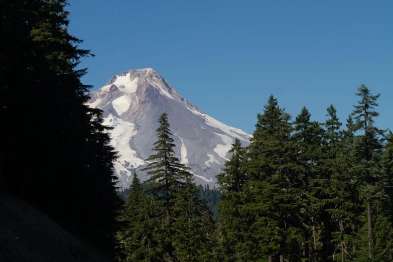 a view of a snowy mountain surrounded by lots of trees