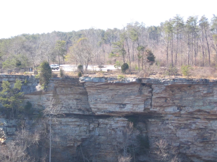 a very big cliff in the middle of a forest