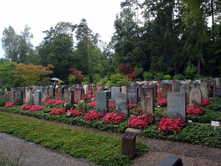 several headstones are shown surrounded by beautiful pink flowers