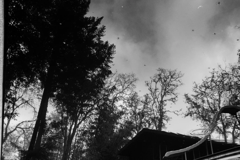 a black and white picture of the roof of a building with several small trees