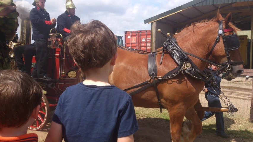 a boy is looking at the horses on the side