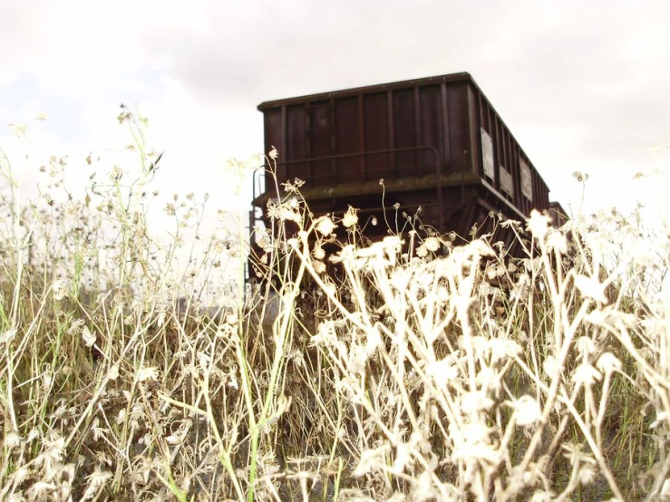 a train car is sitting in a grass field