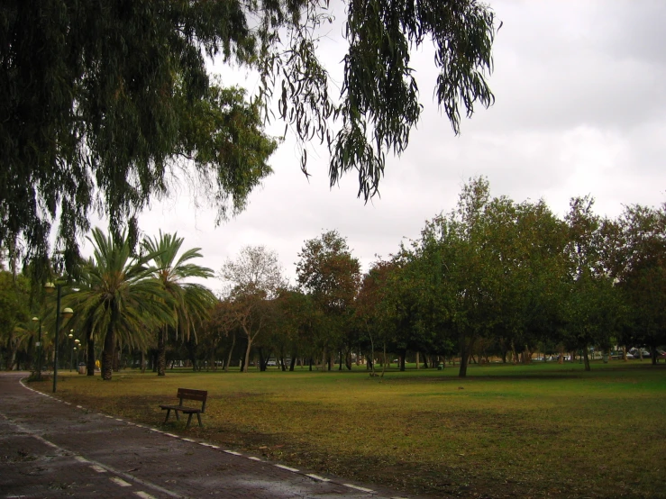 a po of a park setting with a path and green grass