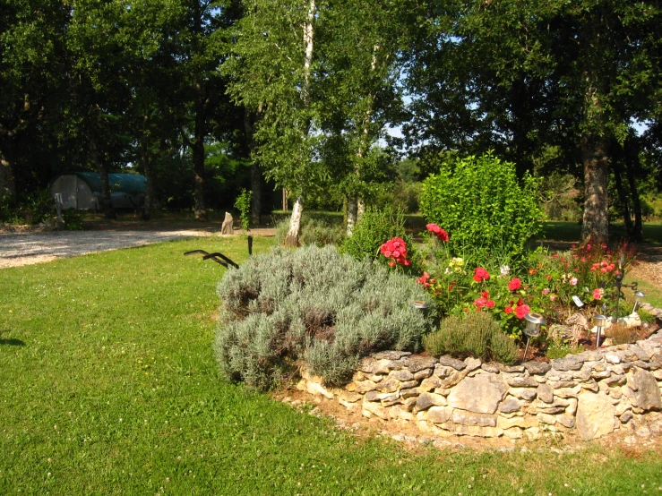 a patch of green grass in front of some rocks and trees