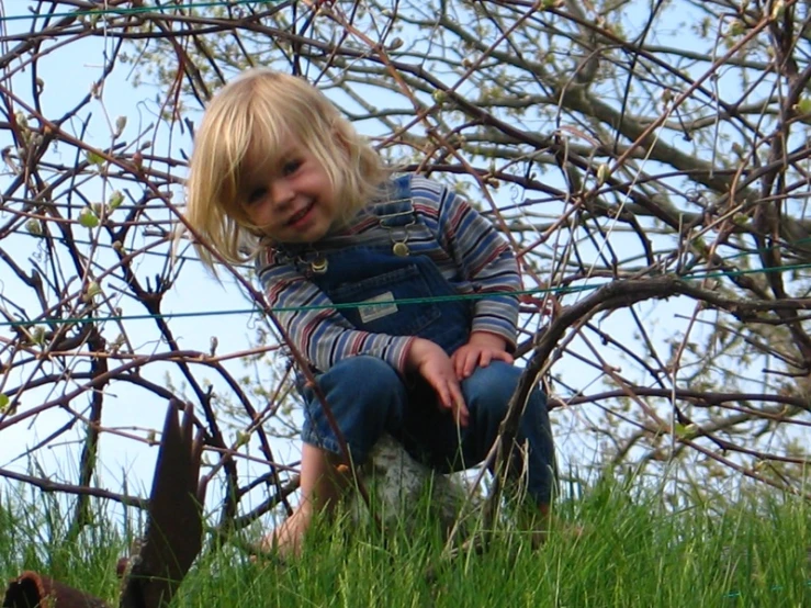 a small  is sitting in the grass