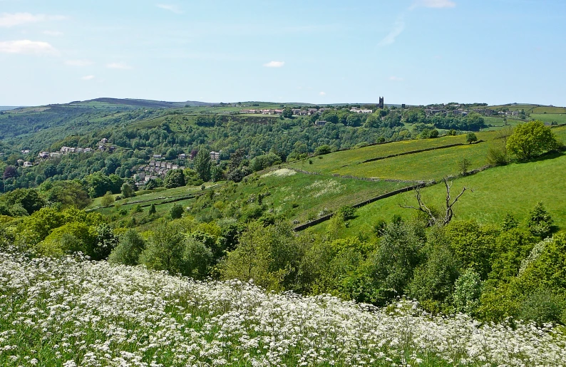 hills and meadows are seen from the hillside